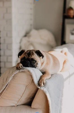 screenshot+2023 11 08+195125